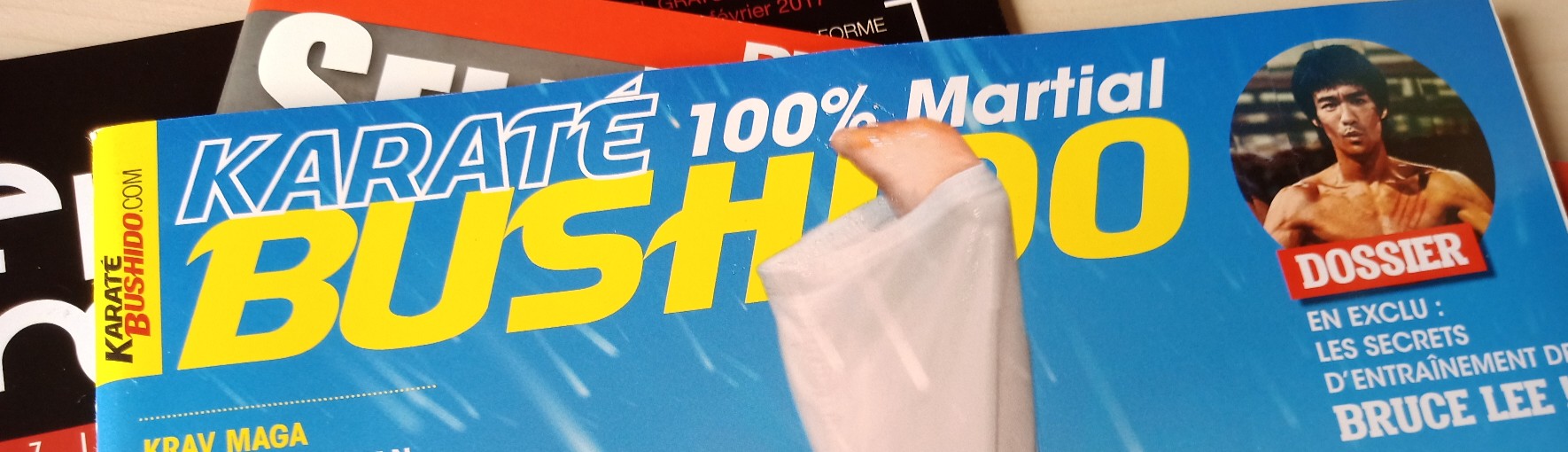 Karate Bushido